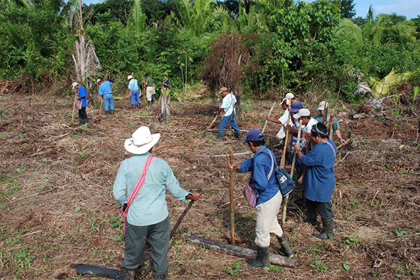 A photo of Mayan farmers in Southern Belize