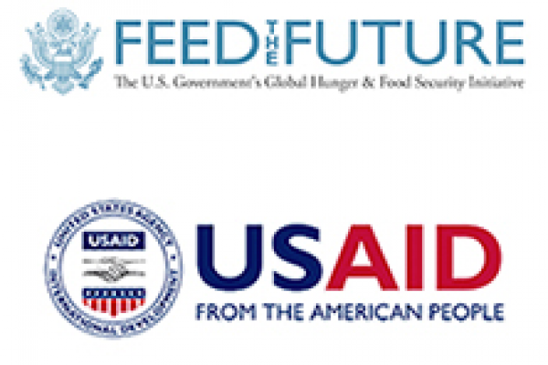 Global Food Security image