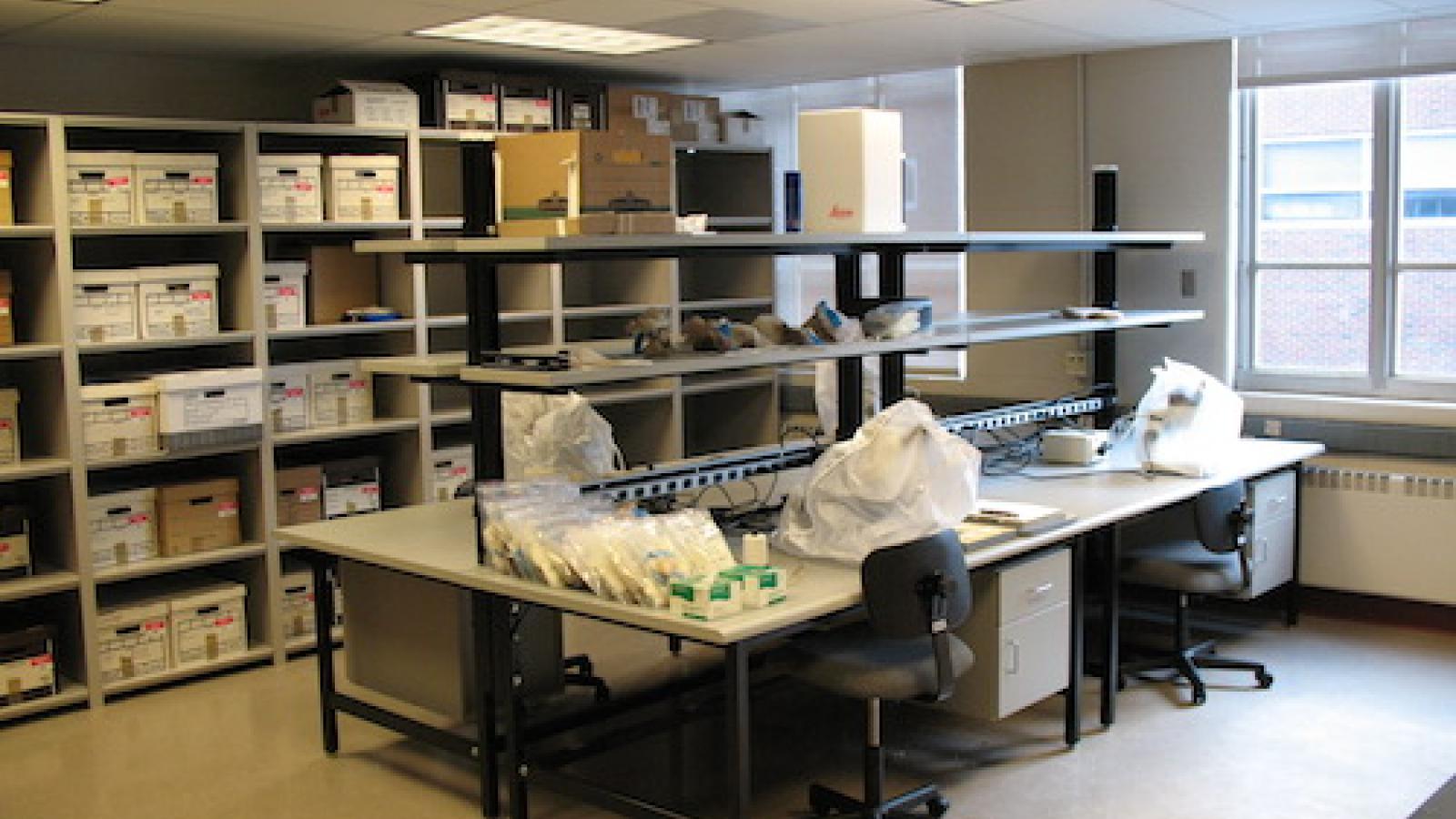 Collections and workstations in the Laboratory for Eastern North American Paleoethnobotany (LENAP)