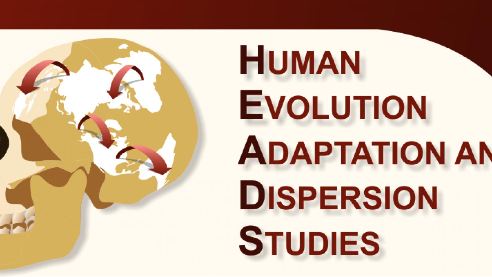 Logo for the Human Evolution Adaptation and Dispersion Studies (HEADS) research group