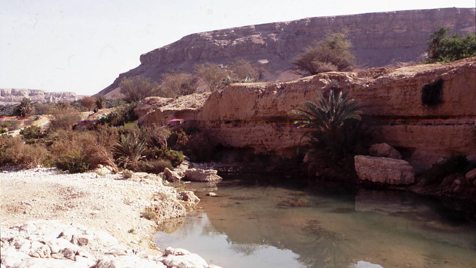 Water pool in the desert
