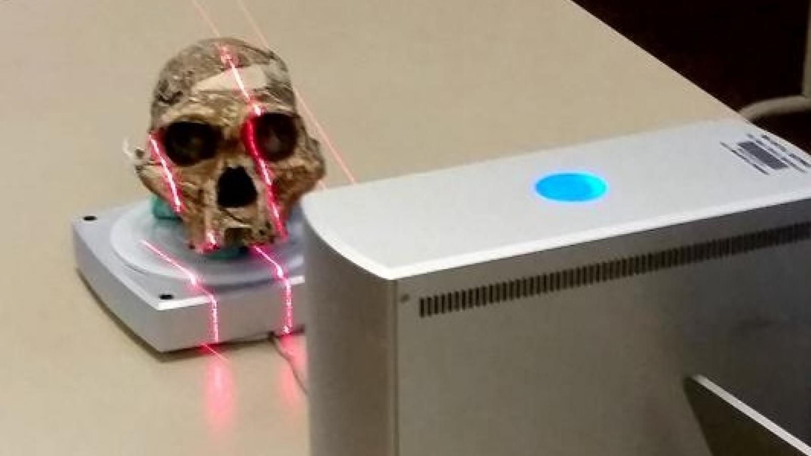 3-dimensional scanning of a hominin skull