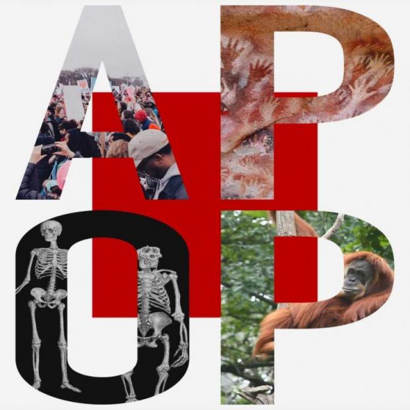 APOP logo.