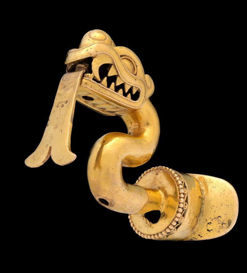 Image of golden Aztec Labret from museum