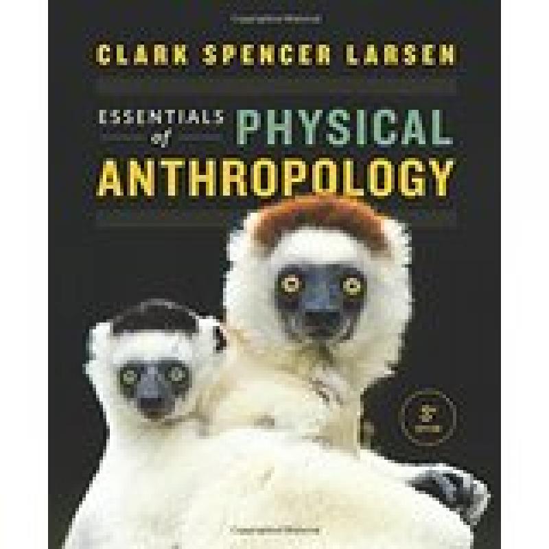 Essentials of Physical Anthropology (Larsen)