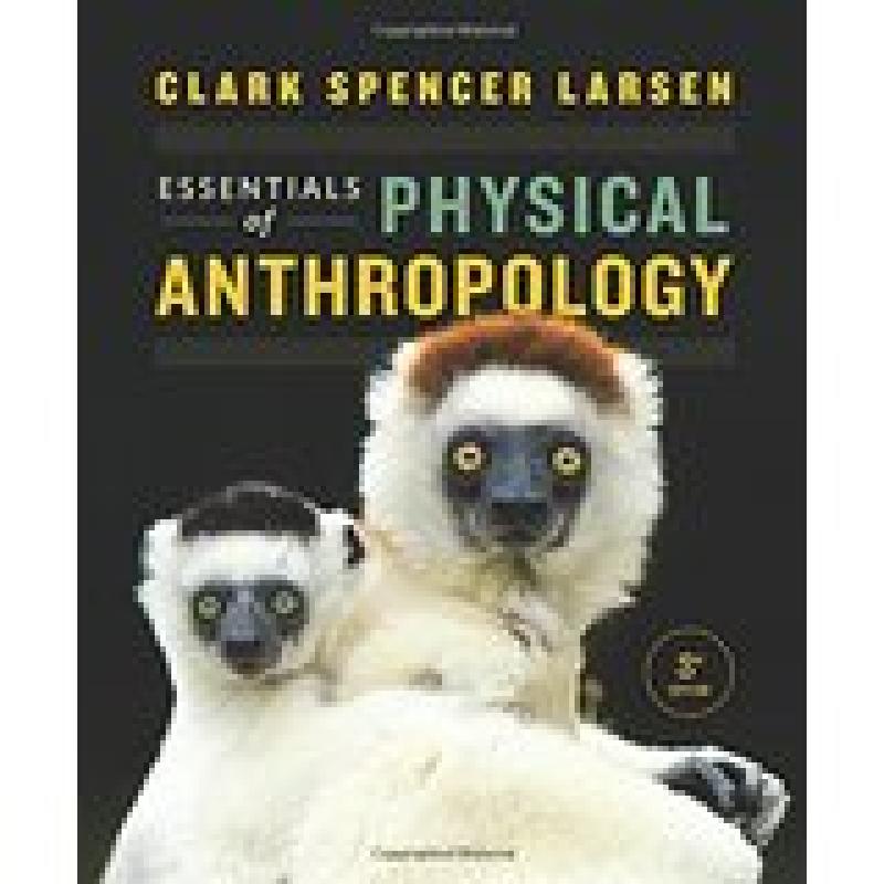 Essentials of Physical Anthropology (Larsen)