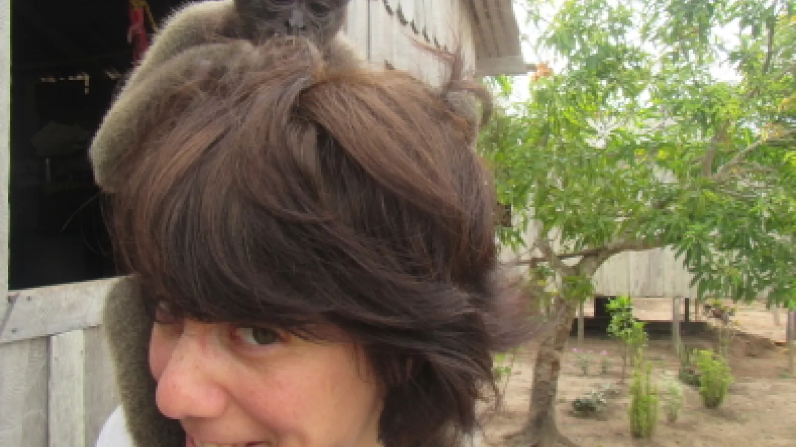 Woolly monkey sitting on Dr. Piperata's head
