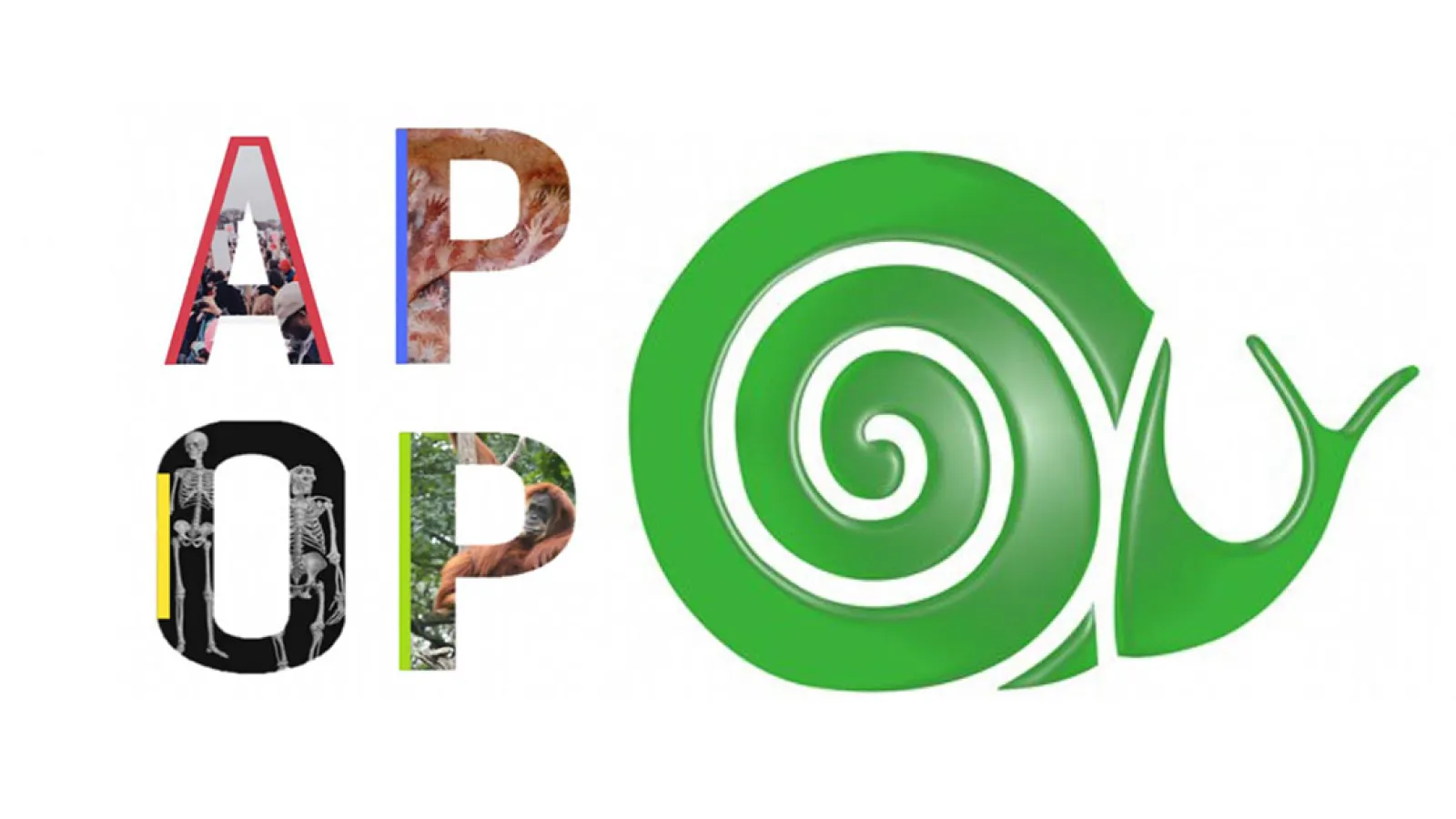 A green snail next to the letters APOP