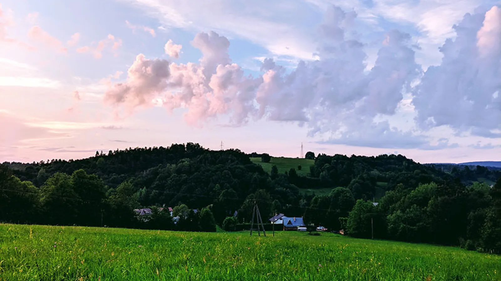 A green field with a blue sky filled with pink clouds