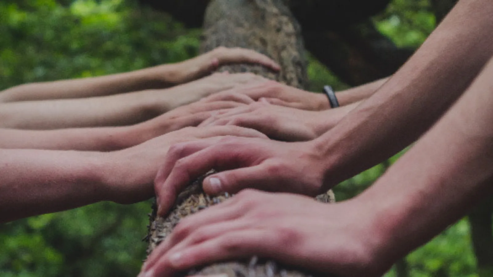 Human hands on a log