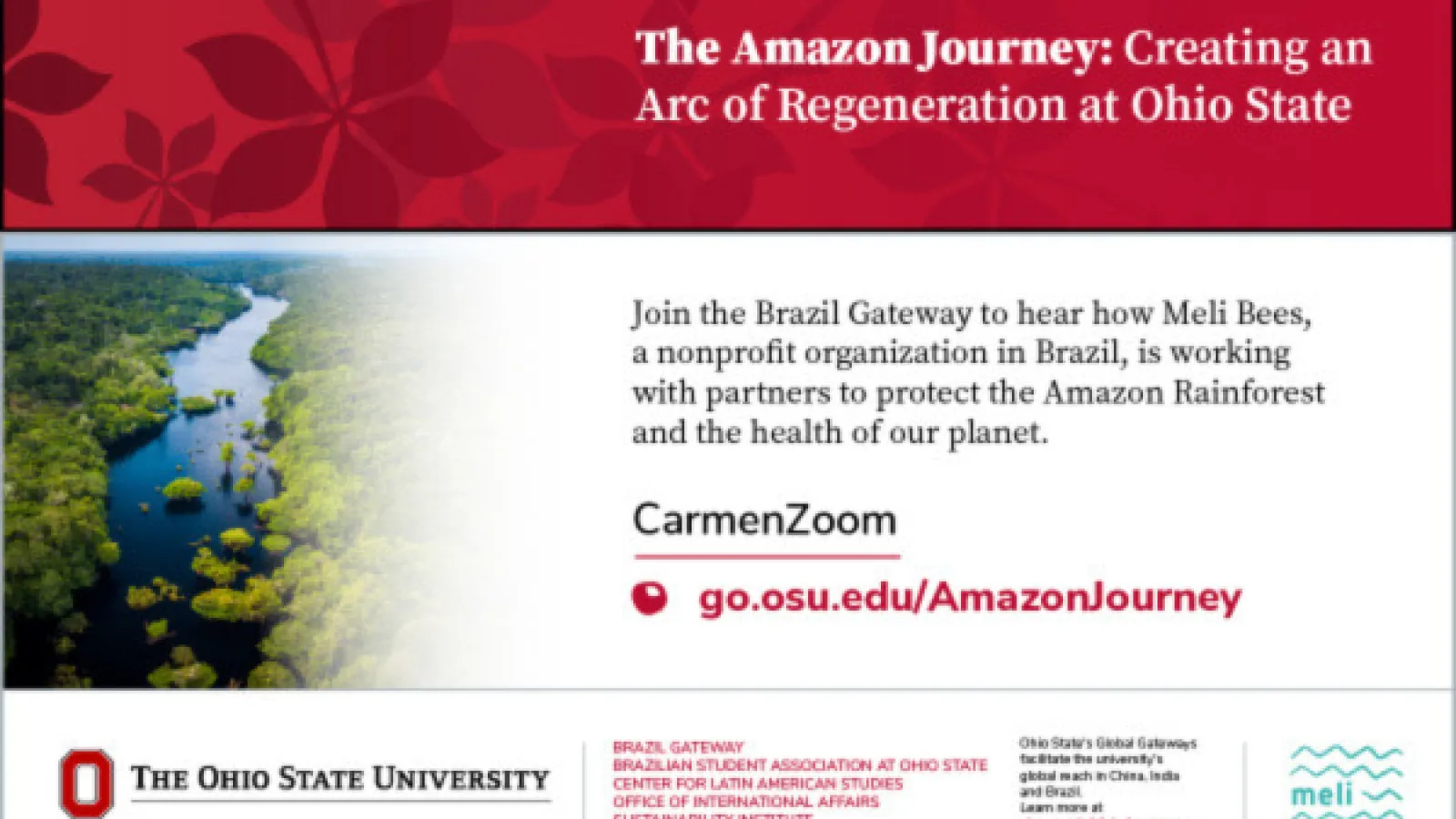 the Amazon river running through the jungle