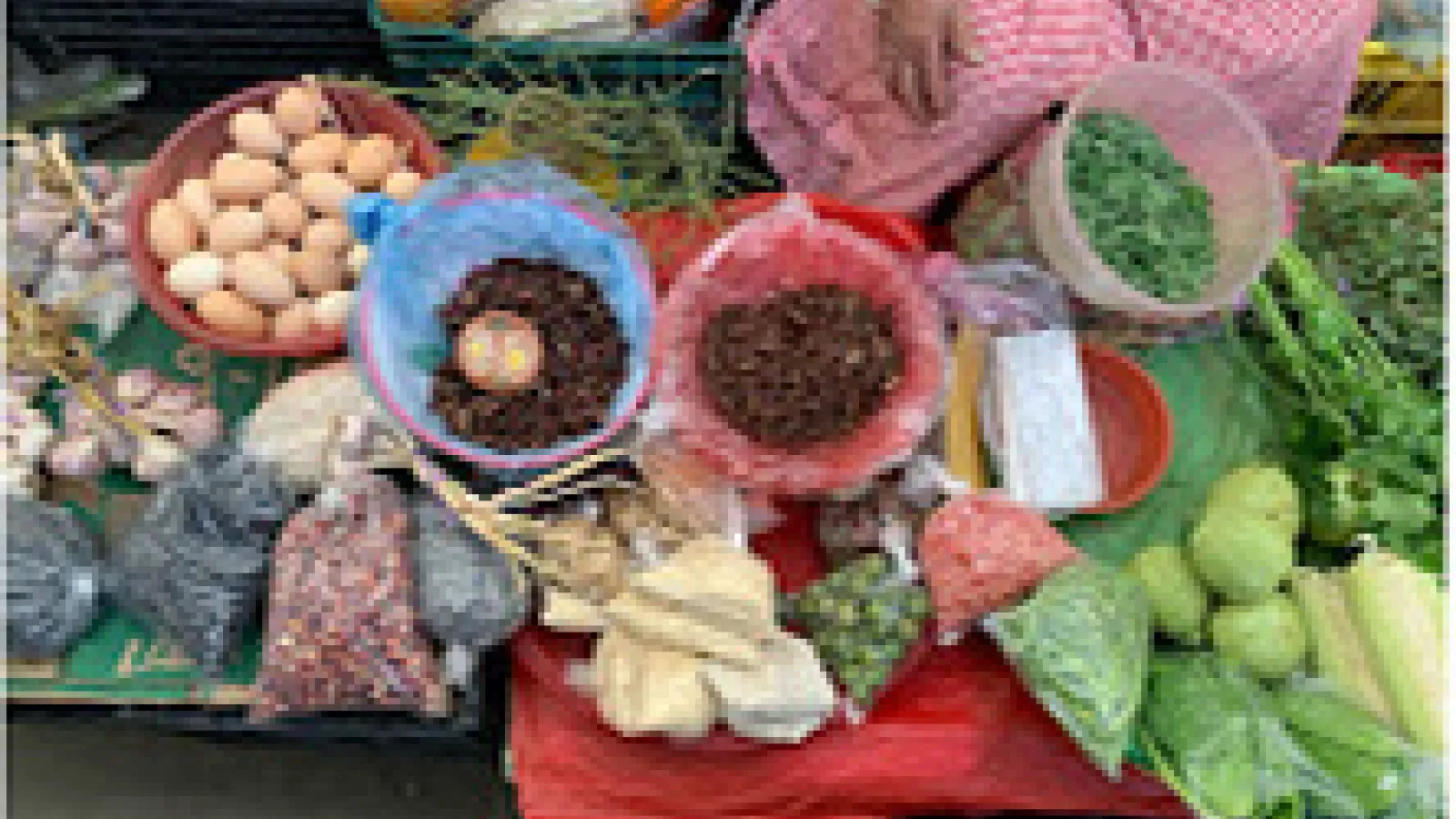 Smattering of foods from Oaxaca vendors