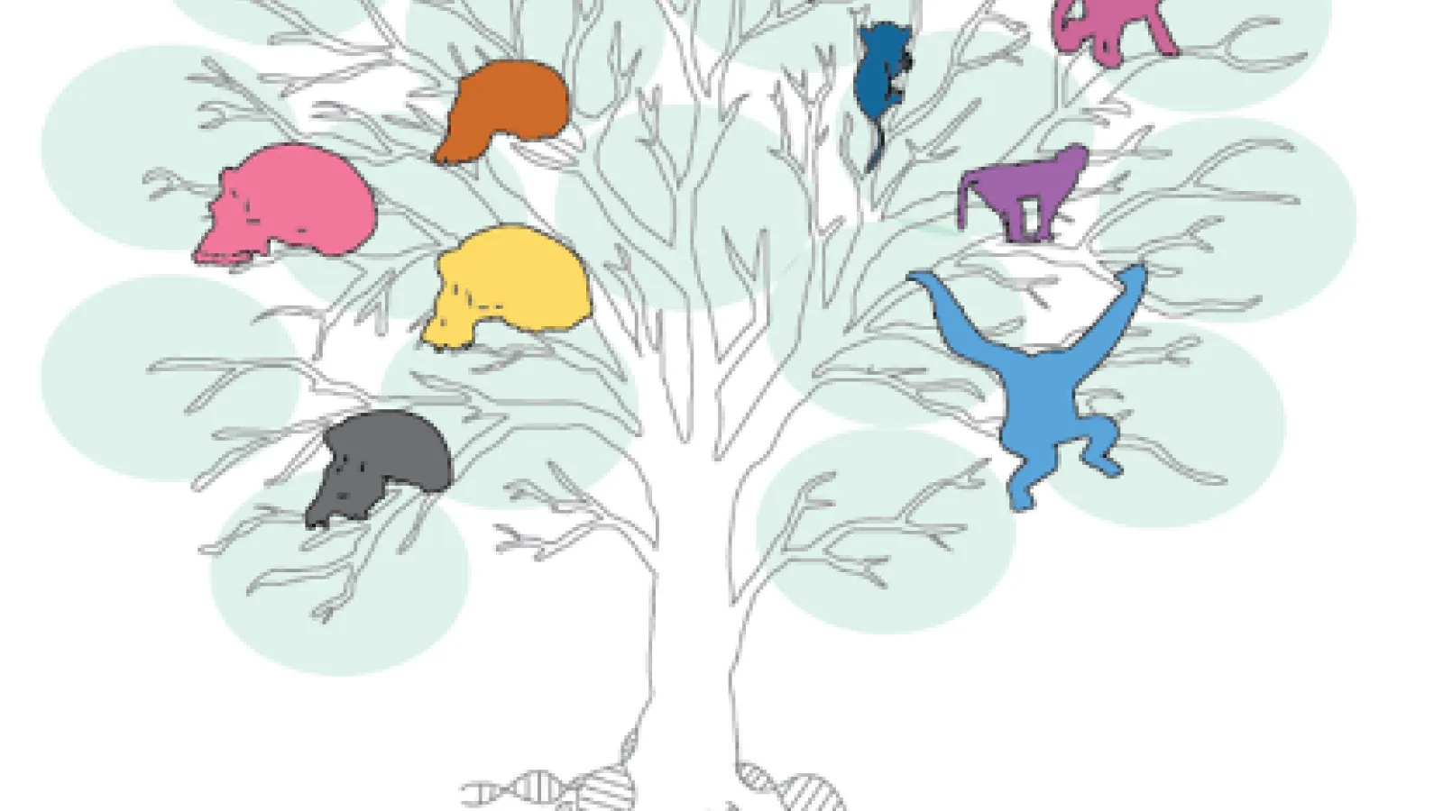  a family tree of early human ancestors and primates set on a tree background