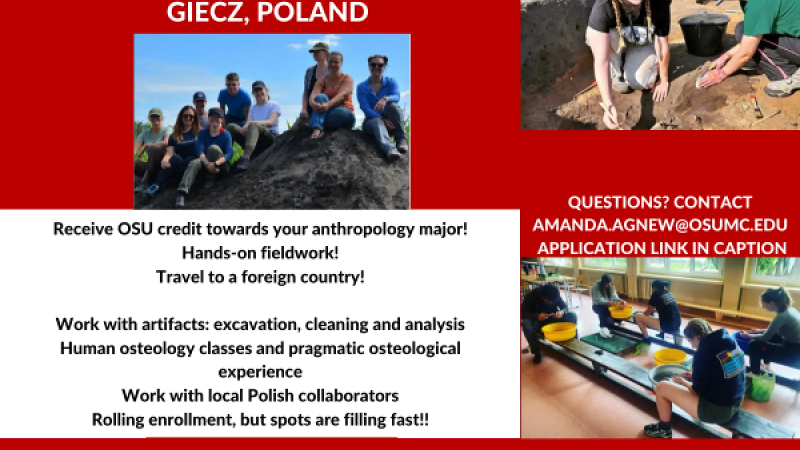 fieldworkers in the pits, cleaning artifacts, and posing together