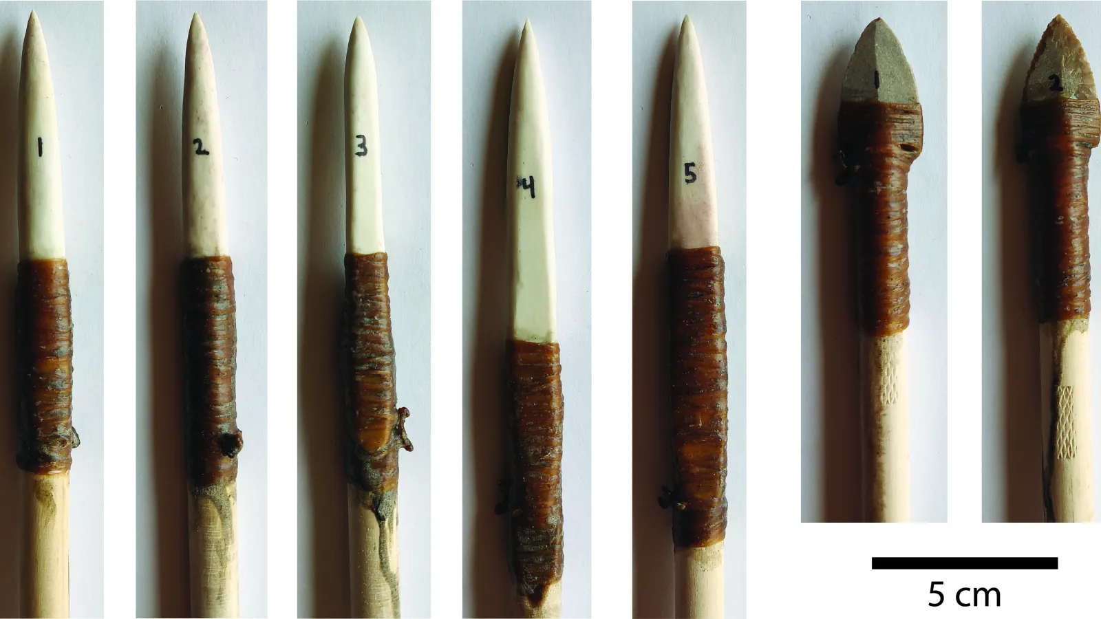 bone and stone spear point tips 