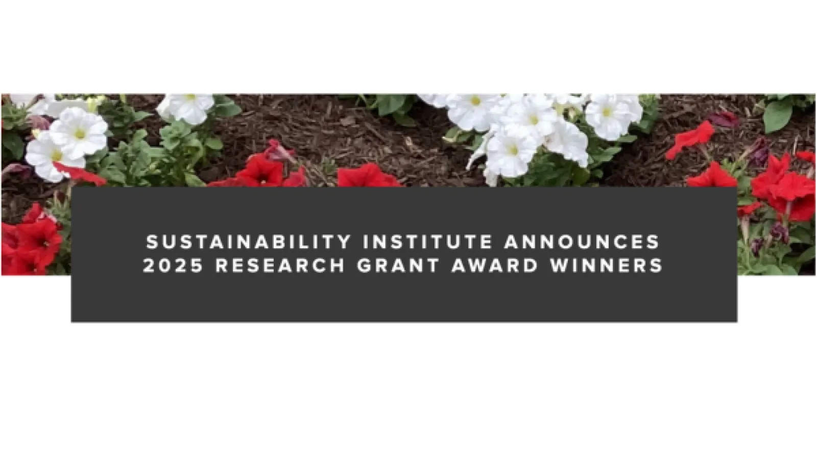 A picture of red and white flowers with a grey banner digitally overlayed 