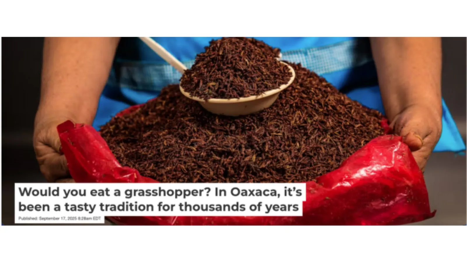 A woman wearing a blue dress holding a red cloth of toasted grasshoppers