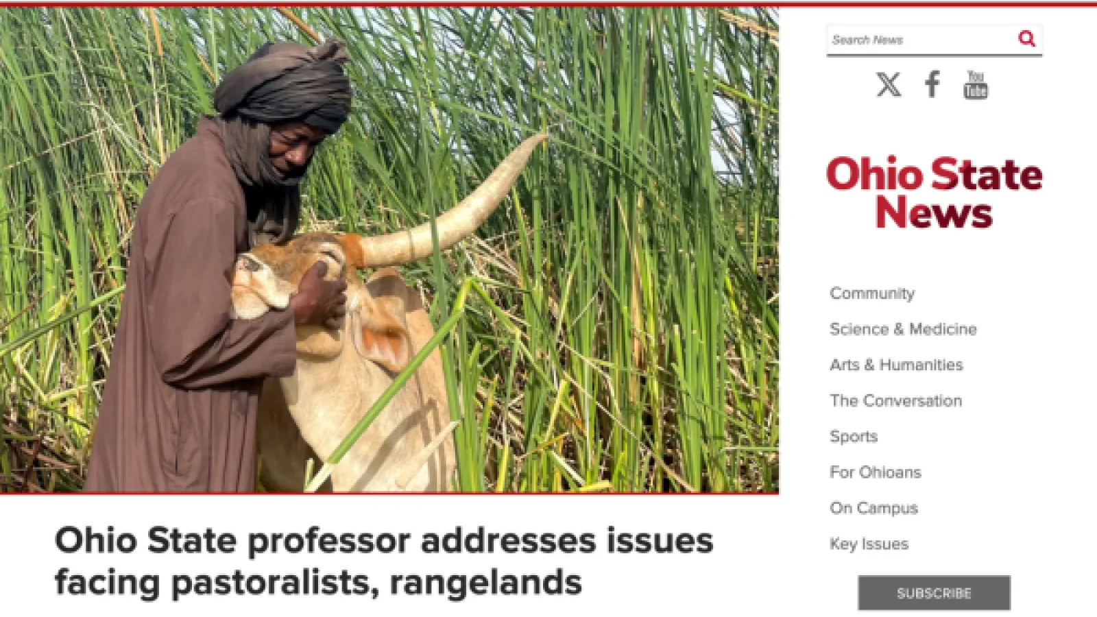 A man and a cow used as the cover image for a news article in OSU News