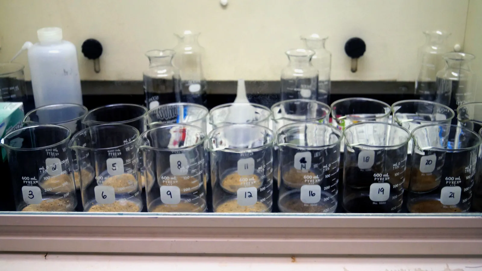 Beakers in fume hood