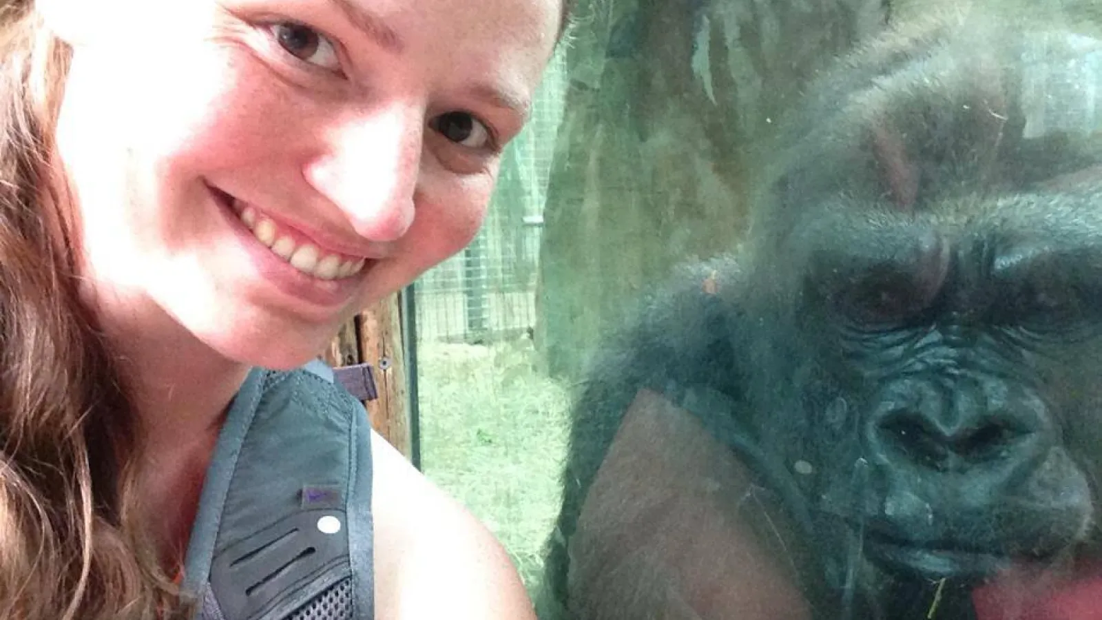 Smiling woman standing by a gorilla at a zoo, 