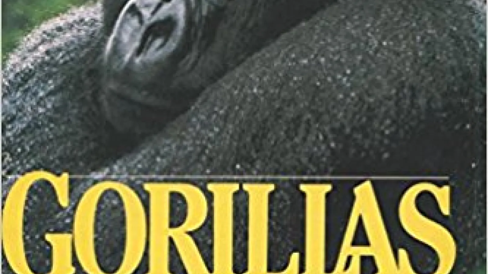 Gorillas in the Mist Cover