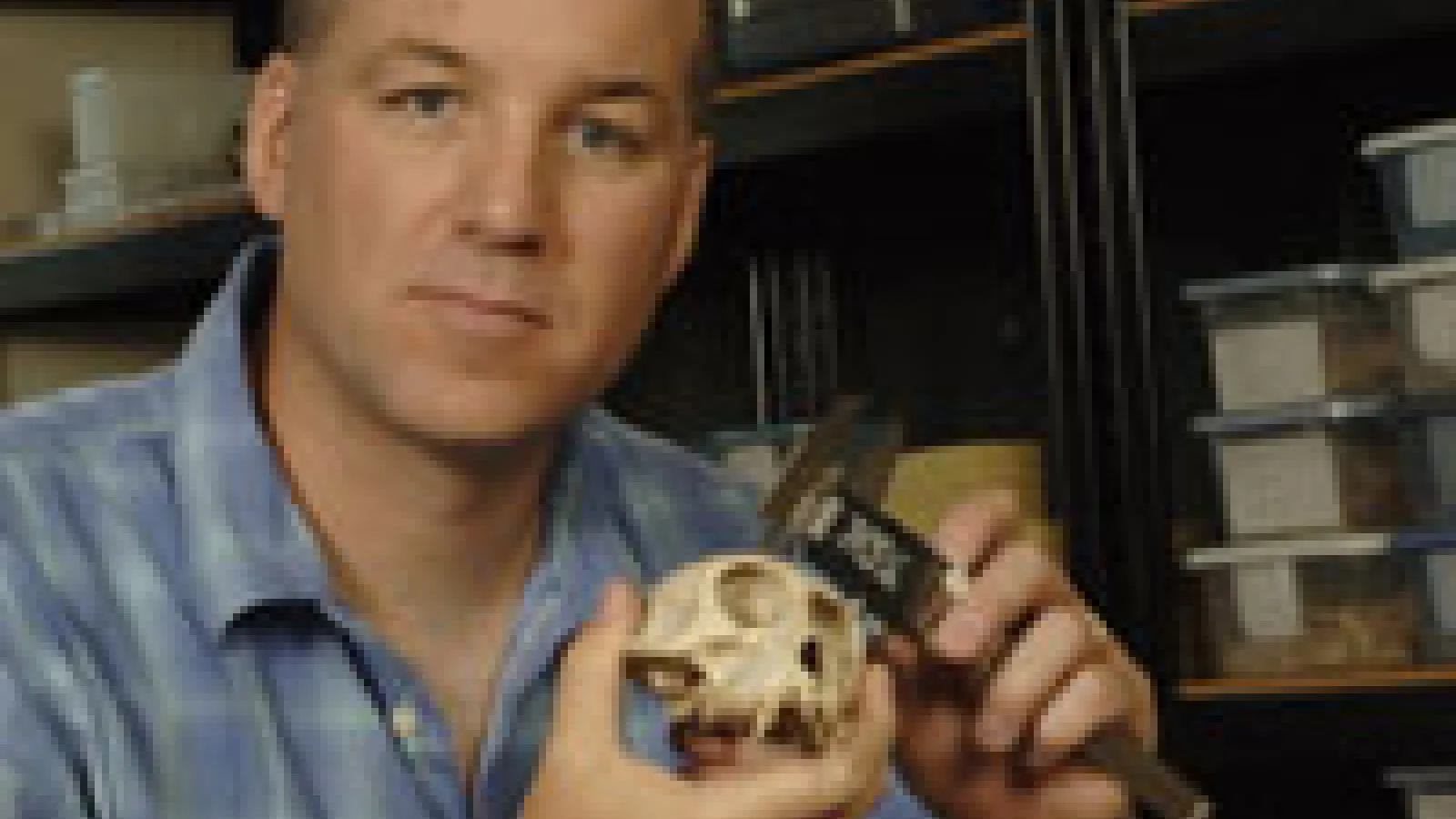 Short haired brunet man with monkey skull