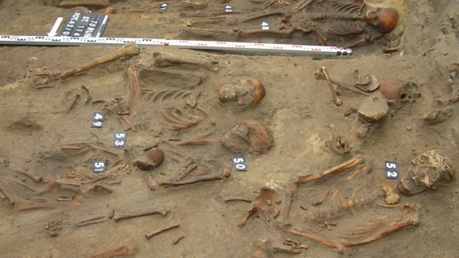 Skeletal remains at Torun excavation
