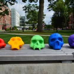3d printed skulls in many colors 3d printed skulls in many colors