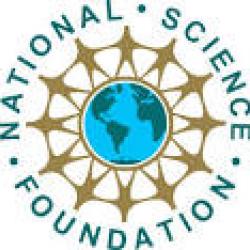 Doctoral dissertation improvement grants national science foundation