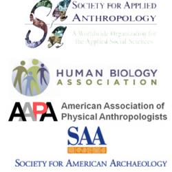 Organization logos This shows the logos of the four main conferences