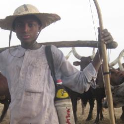 Pastoralists in Cameroon Pastoralists in Cameroon
