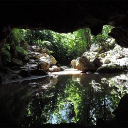 Looking out of the cave at Nahehe