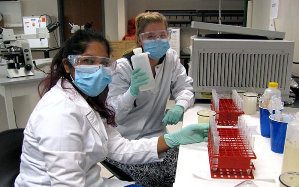 Lab workers experiment with samples