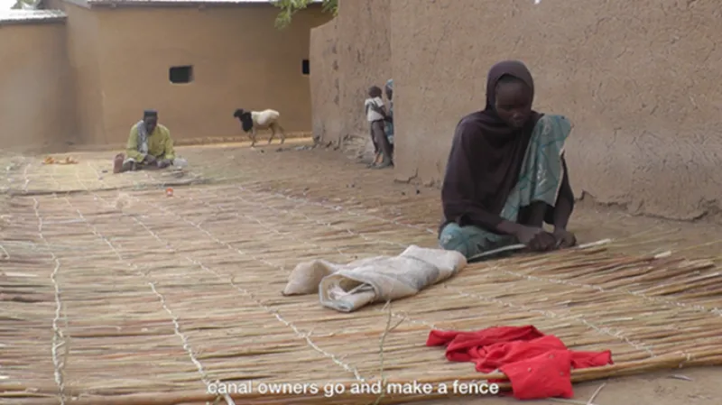 Africans making a woven fence
