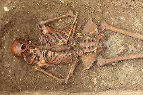 Excavated skeleton lying in excavation