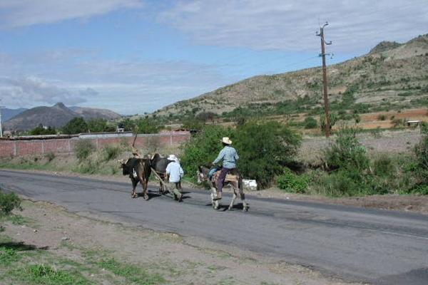 Zapotec farmers return from their ‘milpa,’ the garden plots that provide much of the communities’ food, in Oaxaca, Mexico.