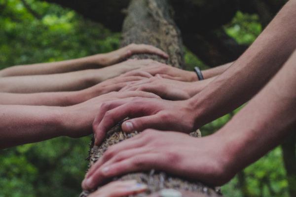 Human hands on a log