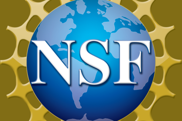 National Science Foundation logo