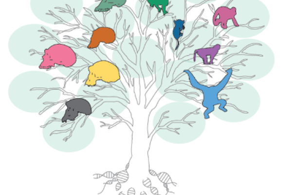 The logo of the DEM3 lab manual, which features a family tree of early human ancestors and primates set on a tree background