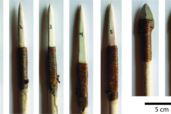 image of spear point tips from the article