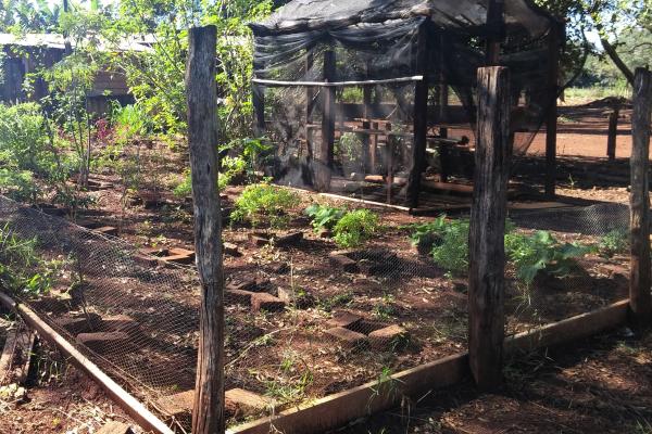 A medicinal garden at Dr. Castilho da Silva's fieldsite: Dourados Indigenous Reserve