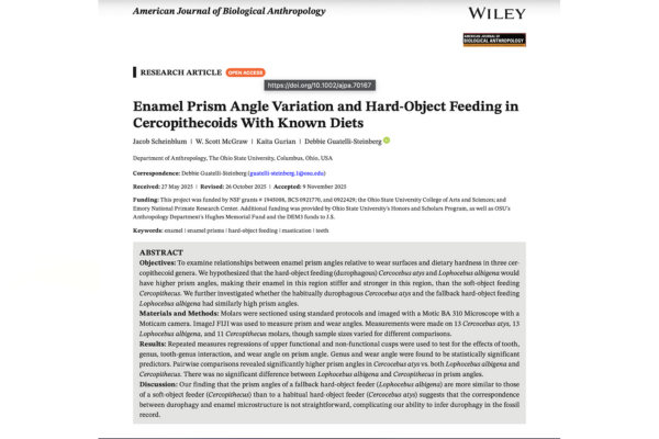 Screen capture of the article title and abstract from the journal website 
