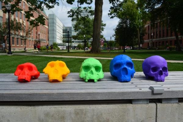 3d printed skulls in many colors
