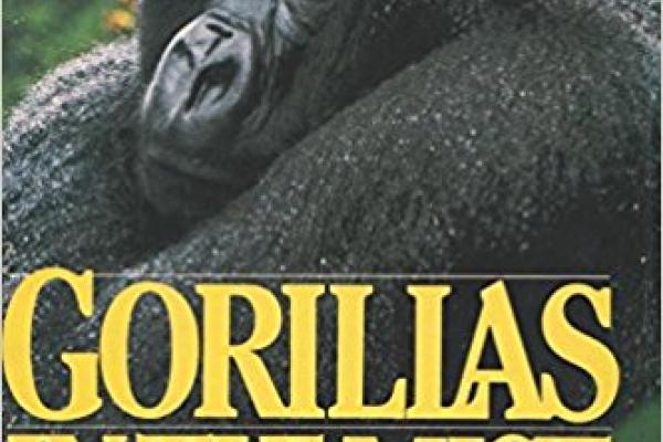 Gorillas in the Mist Cover Gorillas in the Mist Cover