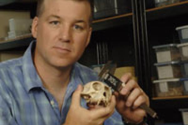 Short haired brunet man with monkey skull