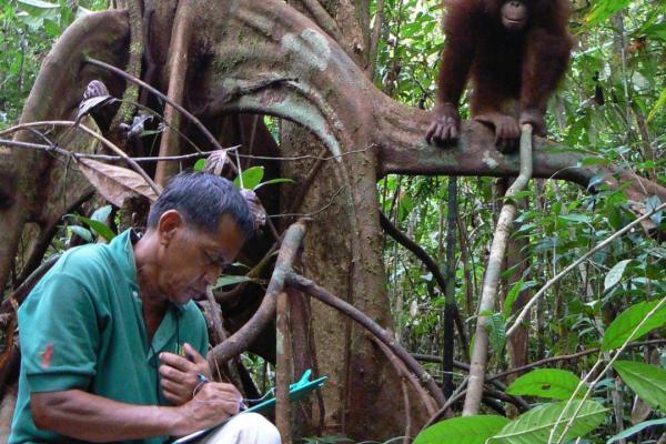Juno Parrenas in the field studying apes Juno Parrenas in the field studying apes