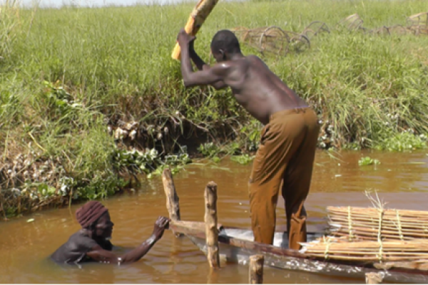 Man fishing in canal in Logone Flood plain Man fishing in canal in Logone Flood plain