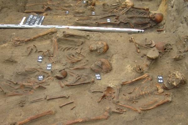 Skeletal remains at Torun excavation, Poland Skeletal remains at Torun excavation