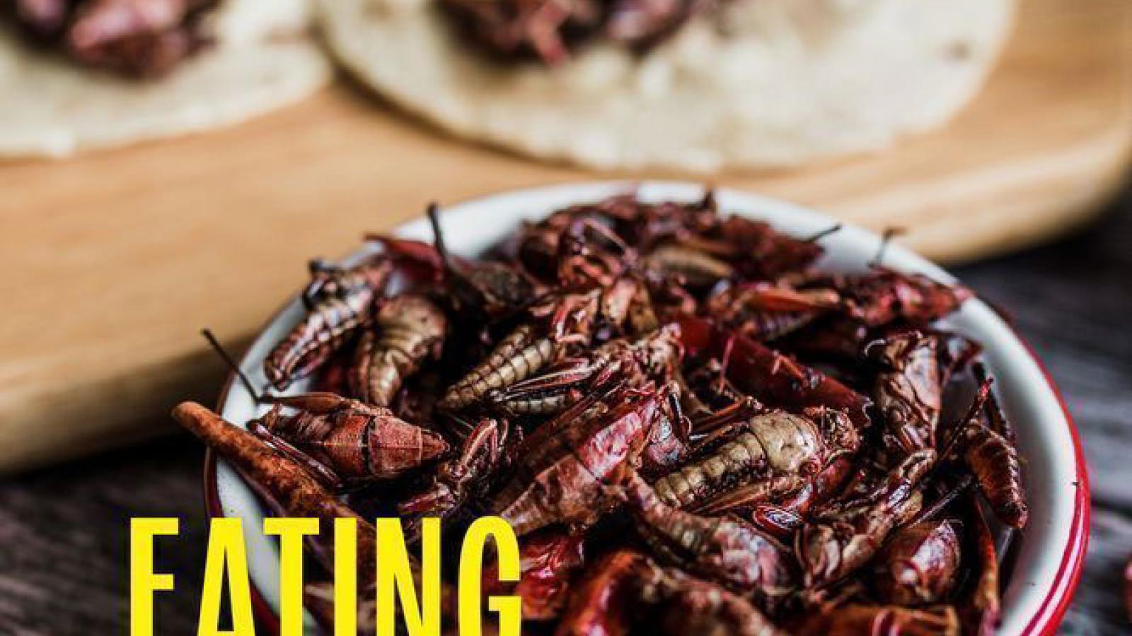 book cover featuring bowls of cooked chalupines