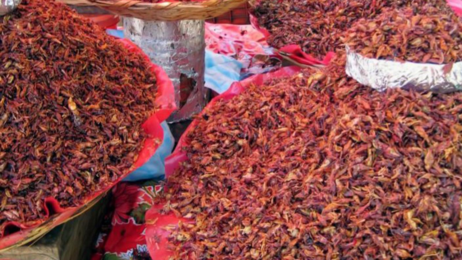 Cooked red grasshoppers displayed for sale